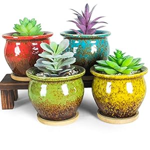 ARTKETTY Succulent Pots - 4 Pack Small Plant Pots with Drainage Tray, 4.5 Inch Ceramic Pots for Indoor Succulent Plants Colorful Cactus Flower Planters Birthday Gifts for Women ARTKETTY Succulent Pots 4 Pack Small Plant Pots with Drainage Tray 45 Inch Ceramic Pots for Indoor Succulent Plants Colorful Cactus Flower Planters Birthday Gifts for Women