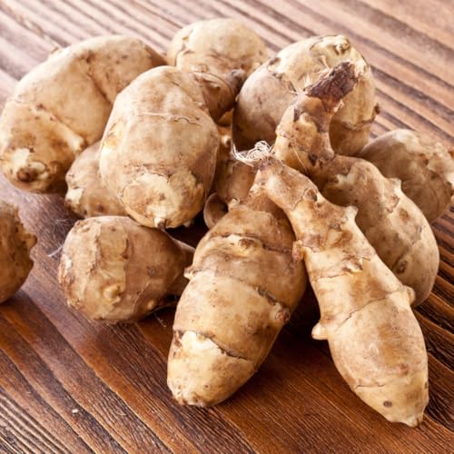 2 Lbs Jerusalem Artichoke Roots, Sunchoke Tubers for Planting, Edible Garden Vegetable, Ready for Garden Growing - Thumbnail 3