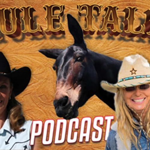 DONKEY TRAINING PART 3 - MEREDITH HODGES - LUCKY THREE RANCH