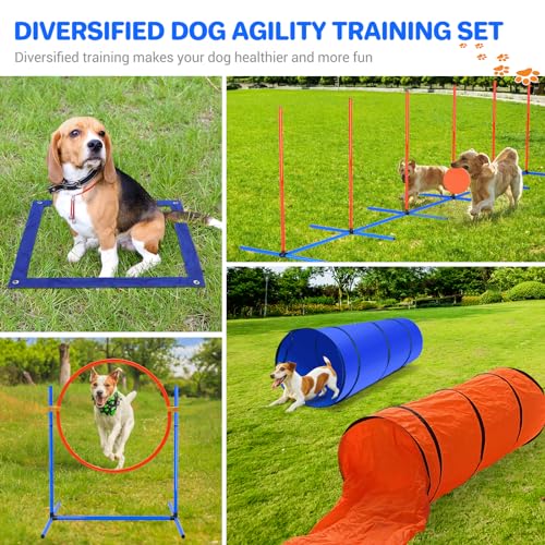 image for IKARE Dog Agility Training Equipment Pet Obstacle Course Training Star