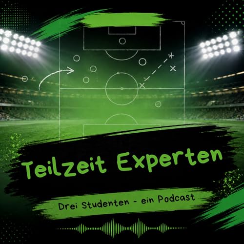 Teilzeitexperten cover art