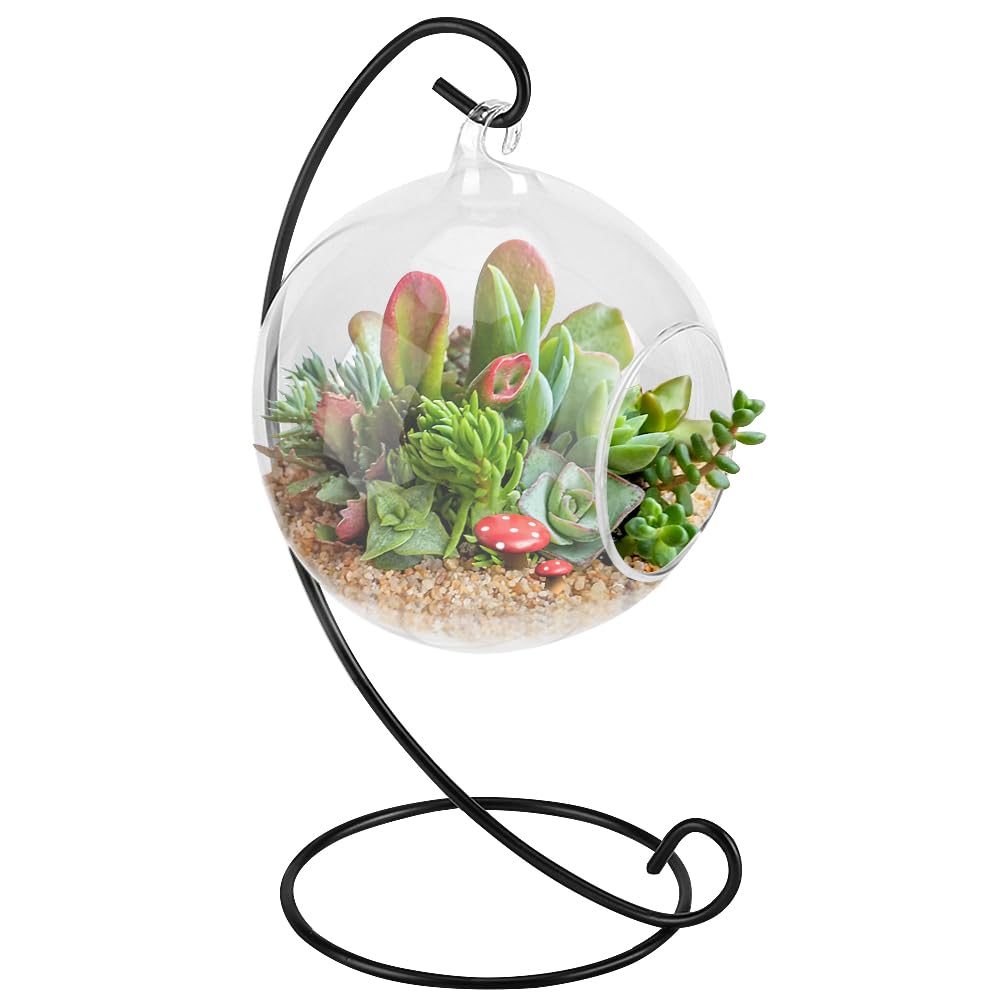 Runde Glas-Pflanzvase Zum Aufhängen – Transparente Terrarienkugel Für Luftpflanzen & Sukkulenten, Mit Eisenhalter