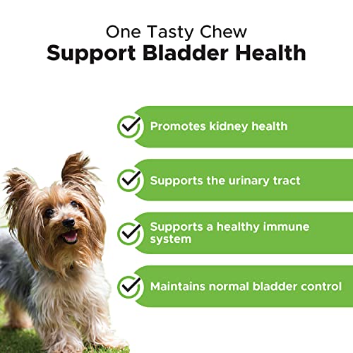 Pet-Honesty-Cranberry-Bladder-Health-for-Dogs--Contains-Active-Ingredients-Cranberry-D-Mannose-to-Help-Support-Dog-Urinary-Tract-Health-Dog-Bladder-Support-Kidney-Support-for-Dogs-Bacon