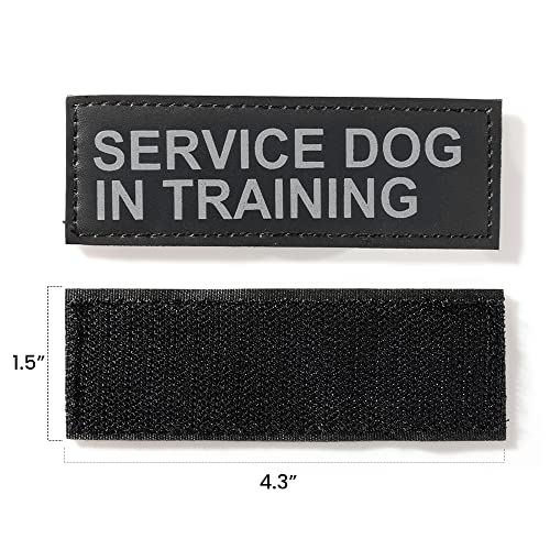 Excellent Elite Spanker 2 Pcs Magic Sticker Morale Patch Reflective Service Dog in Training Patch in Training Puppy for Dog Harnesses & Vests by EXCELLENT ELITE SPANKER - Used condition - Image 3
