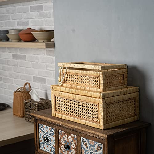 Lusydeco Set Of 2 Large Rectangular Rattan Decorative Boxes With Glass Lids Medium Cane And Rattan Display Boxes For Home Decor #TOP1
