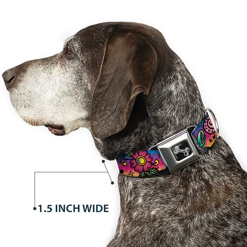 Buckle Down Sicherheitsgurt Schnalle Hundehalsband