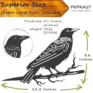 Metalbirdsyarddecorforoutdoormetalyardartoutdoorandgardendecorationsmetalodinsravenstatueoutdoordecorgiftsforwomen Urban Country Home Decor Metal birds yard decor for outdoor metal yard art outdoor and garden decorations metal odins raven statue outdoor decor gifts for women urban country home decor