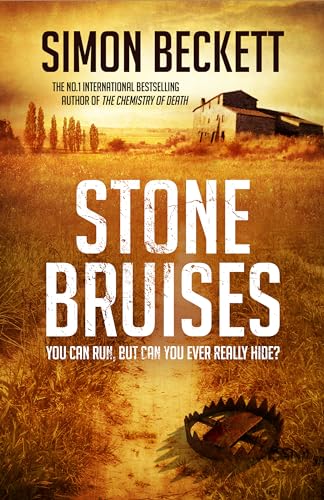 Stone Bruises view 2