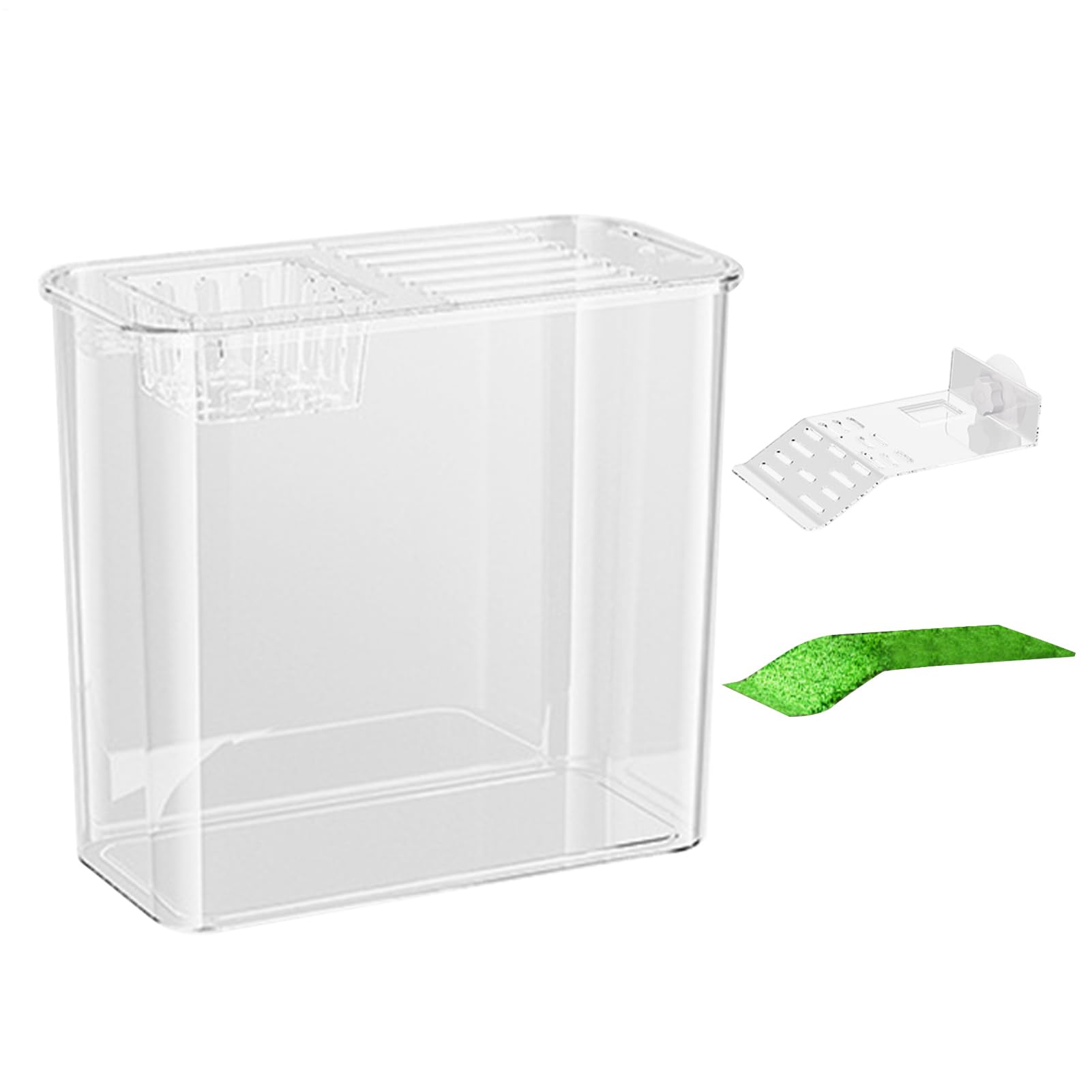 Tartarughiera Trasparente Anfibi Rettile Alimentazione Basking Pesci | Vasca Tartaruga Basking Testuggine Gamberi Paguri Rana Decor Forniture Animali Casa Ufficio Soggiorno Cucina