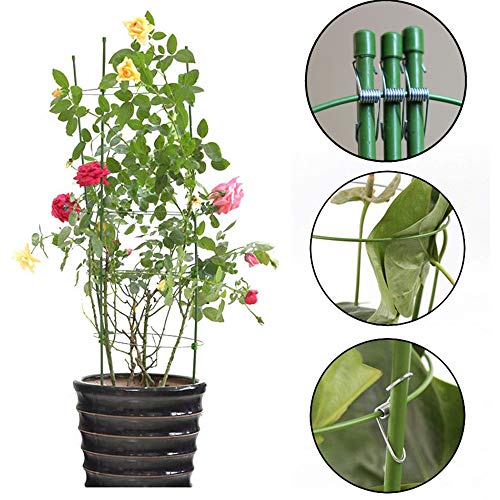 DoubleWood Plant Support Cages 17.7 Inches Plant Cages with 3 Adjustable Rings, Supporter
