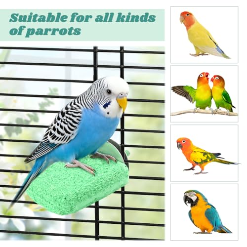 Image of 4 PCS Bird Beak Grinding Stone Perch Platform for Parrots | Grinding Stone Perch Set Helps Support Natural Beak And Claw Wear For Budgies, Parakeets, Cockatiels, And Conures.