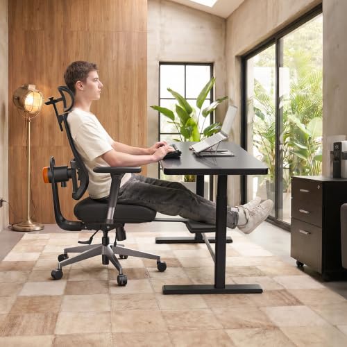 Image of Newtral Ergonomic Office Chair - Home Office Desk Chair with Adaptive Lumbar Support, with Footrest, 4D Armrest, Adjustable Seat Depth & Height