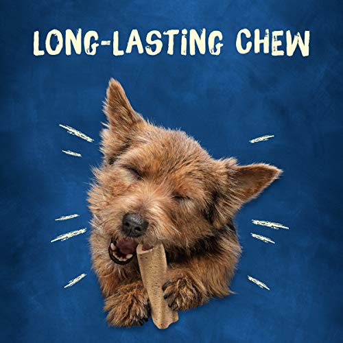 Purina Busy Bone Dog Chew Mini Dog Treats For Small Dogs, (2) 12 Ct. Pouches #TOP3