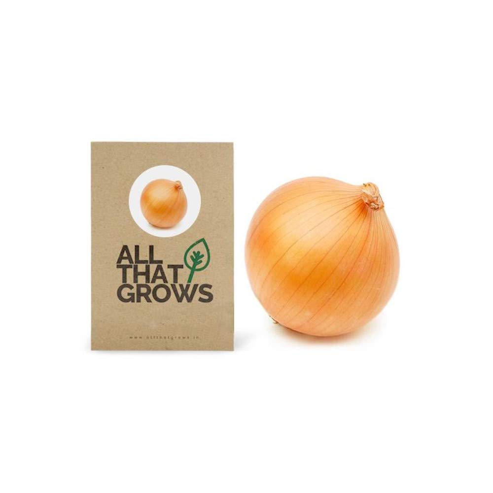 Onion Orange Seeds, Kanda Seeds, Onions Ovalish Shaped Pyaaz 200 Seeds by AllThatGrows (B07333LH8S) Amazon Price History, Amazon Price Tracker