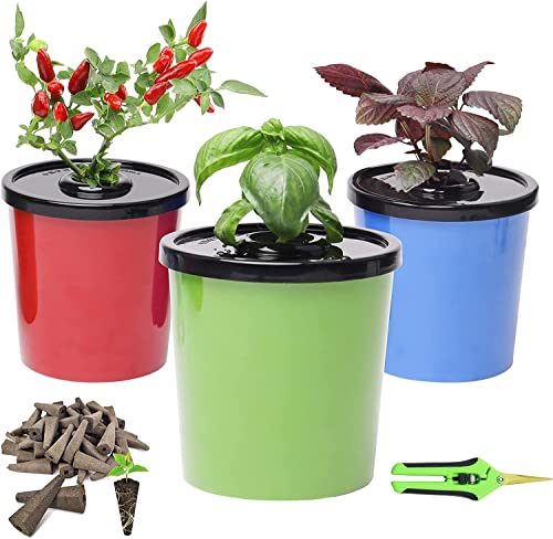 Colorful Hydroponic Planters Kit = 48 Growing Sponges + 6 Hydroponic Planters + Scissors, LAWNFUL Hydroponic Jars as Herb Growing Kit Indoor, Decorative Kitchen Window Vegetable Garden (Kratky Method)