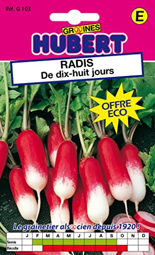 Graines de Radis de Dix-Huit Jours - Format ECO - 30 grammes