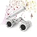 Aomekie Opera Glasses Binoculars 3X25 Lorgnette Theater Glasses Mini Binocular Compact with Handle for Adults Kids Women in Musical Concert（Silver）