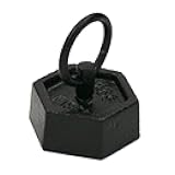 EISCO Iron Masses - Hexagonal with Lifting Ring - 100g - Eisco Labs