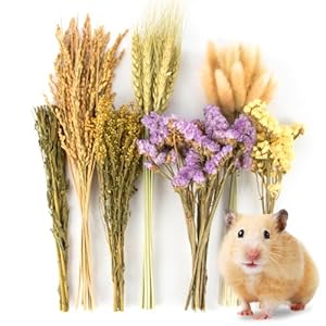 Sukh 60Pcs Nature Flower Herb Hamster Bedding – Cage Enclosure Habitat Decor Mate Small Animal Natural Ear of Grain Sprays for Syrian Dwarf Hamsters Gerbils Rabbit Other Pets