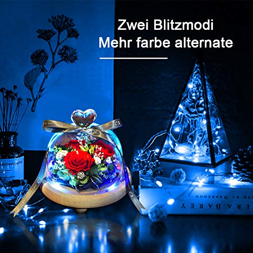 StillCool Eeuwige roos, handgemaakte frisse bloem roos met mooi creatief hartdesign een cadeau voor Valentijnsdag… - Afbeelding 3