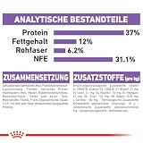 ROYAL CANIN STERILISED Trockennahrung für Katzen – 4 kg