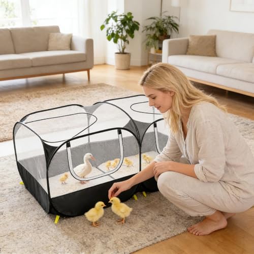 Enclos pour chaton pour sécuriser les sorties en extérieur - 4