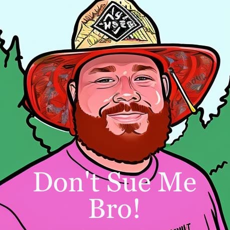 Don’t Sue Me Bro! cover art