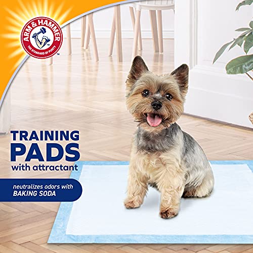 Arm & Hammer for Dogs Puppy Training Pads with Attractant New & Improved Super Absorbent,Leak-Proof,Odor Control Quilted Puppy Pads with Baking Soda Pack Bulk Wee Wee Pads(Pack of 8,200 Count)