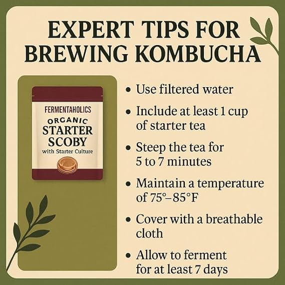 Fermentaholics Fermentaholics Organic Starter Scoby with Starter Culture