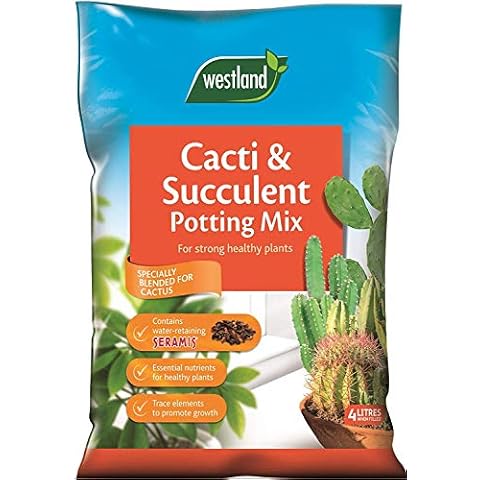 Online Garden Centre Cacti/Succulent Potting Compost Mix and Enriched with Seramis (8 Litre) Cover