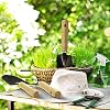 Product Photo 6