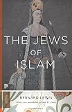 The Jews of Islam: Updated Edition (Princeton Classics, 86)