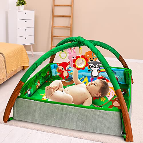 Teytoy 6 In 1 Baby Play Mat Thicker Baby Play Gym High Stable Baby Activity Mat Baby Toys 6 To 12 Months With Musical Plush Newborn Toys, Baby Mirror, Tummy Time Pillow For Sensory Skills Development #TOP4
