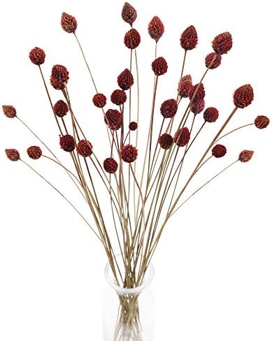 MHMJON 30pcs Dried Flowers Bouquet Bulk Mini Pine Cone Flowers Natural Dried Flowers Handmade Fake Flowers for Spring Home Indoor Kitchen Office DIY Hotel Table Decoration (16.9″)