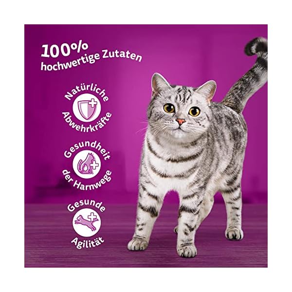 Whiskas 7+ Katzenfutter Geflügel Auswahl in Sauce – Bild 4