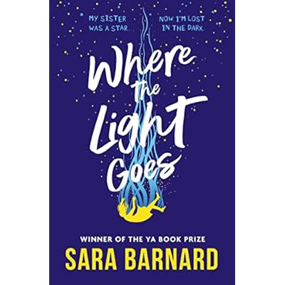 Where the Light Goes