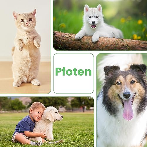 Tinioey Pfotenreiniger für Hunde (200ml) | Hundepfotenbürste | Hundepfoten Reiniger | No Rinse Schäumendes Shampoo für Haustiere | Katzen Pfotenpflege Zubehör | Hunde Sachen Hundezubehör