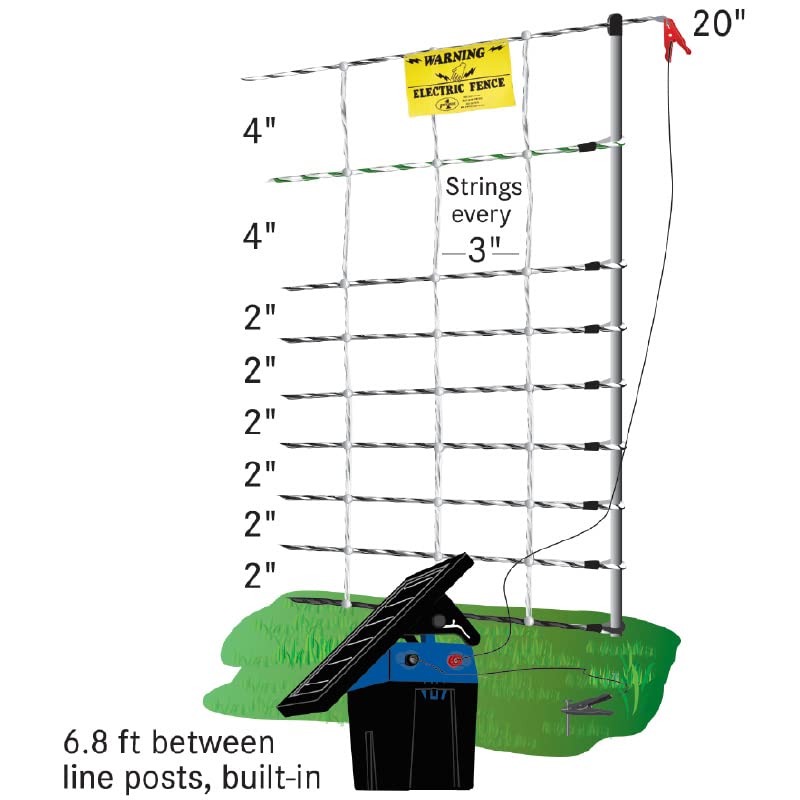 🐔 IDMarket Kit De Valla Red Para Gallinas - 12 Metros Con Puerta Integrada, 6 Estacas De Doble Punta De Fibra De Vidrio, Protege Tus Aves En El Jardín