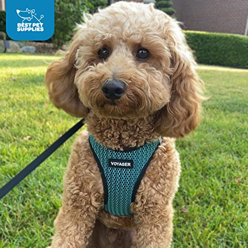 Voyager Step-In Air Dog Harness - All Weather Mesh Step In Vest Harness For Small And Medium Dogs By Best Pet Supplies - Turquoise (2-Tone), M #TOP6