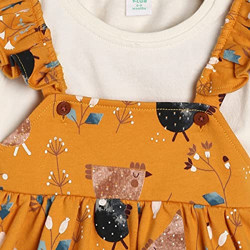 Image of miniklub Baby Round Neck Short Sleeve Knitted Cotton Pinny Set, Pack of 2 (Multi Color)