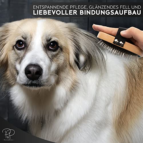 Pawz&Pawz Hundebürste Langhaar | Hundehaarbürste | Premium Bürste für Hund & Katze zur sanften Fellpflege | Striegel für Hunde & Katzenbürste | Hundekamm mit Massage-Effekt | Haustierbürste