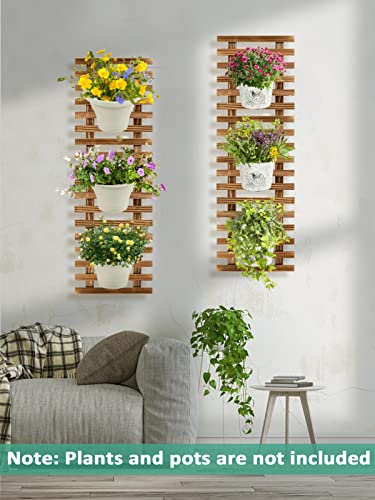 Apipi 2 Pcs Wooden Wall Planters, Detachable Hanging Planter Holders, Sturdy Wall Mounted Plant Stand Ladders Vertical Rack Wall Decor For Indoor Home Balcony Garden #TOP5
