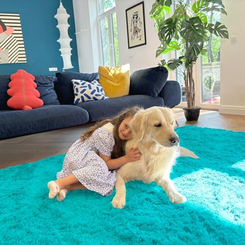 OLANLY 6x9 Machine Washable Large Area Rugs for Living Room, Bedroom, Soft Fluffy Shaggy Bedside Rug, Indoor Floor Carpet for Kids Girls and Boys, Dorms, Nursery, Home Decor Aesthetic, Teal Blue