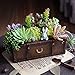 Produktbild T-124124 Tritow 1 stück Vintage Harz Koffer Blumentopf Sukkulenten Pflanzer Gepäck Blumentopf Aufbewahrungsbox Hausgarten Dekoration