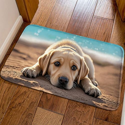 Tapis Illusion D'optique Absorbant Chien Natural6 - 2