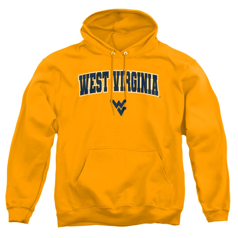 LOGOVISION Official Collegiate Arch Logo Secondary Adult Pull-Over Hoodie Collection 3