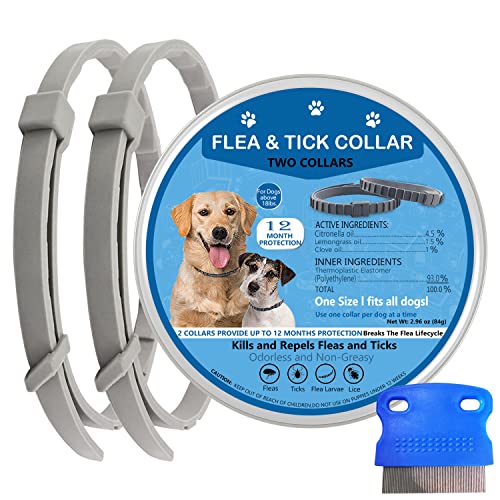 Find The Best Flea Collars For Cats Reviews & Comparison - Katynel