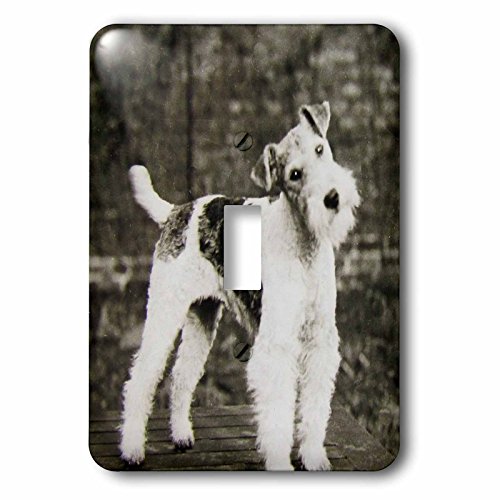 Interrupteur Époque Édouardienne Fox Terrier 1900 impression 3dRose - 2