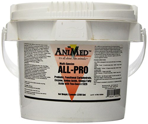 AniMed All-Pro for Horses Dogs Cats Cows Sheep and Goats, 5-Pound