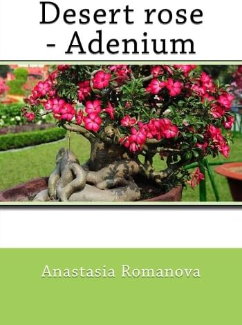 Desert rose-Adenium Paperback – Large Print, June 17, 2016